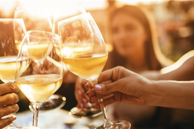 Die „Besten der Besten“ lernen in der WIFI Wein Welt